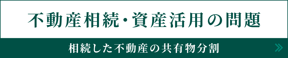 不動産相続・資産活用の問題